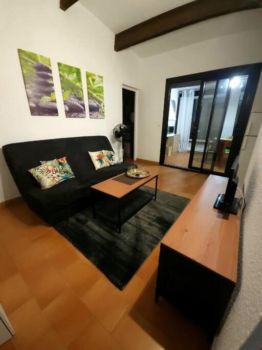 A 8 Mn A Pied Des Plages Appartement Avec Piscine Et Tennis อาร์เจเลส-ซัวร์-แมร์ ภายนอก รูปภาพ