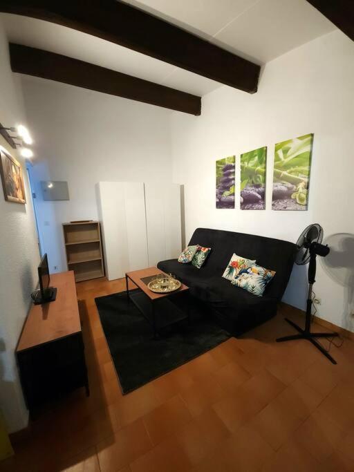 A 8 Mn A Pied Des Plages Appartement Avec Piscine Et Tennis อาร์เจเลส-ซัวร์-แมร์ ภายนอก รูปภาพ