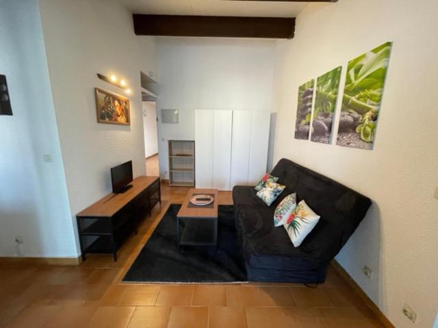 A 8 Mn A Pied Des Plages Appartement Avec Piscine Et Tennis อาร์เจเลส-ซัวร์-แมร์ ภายนอก รูปภาพ